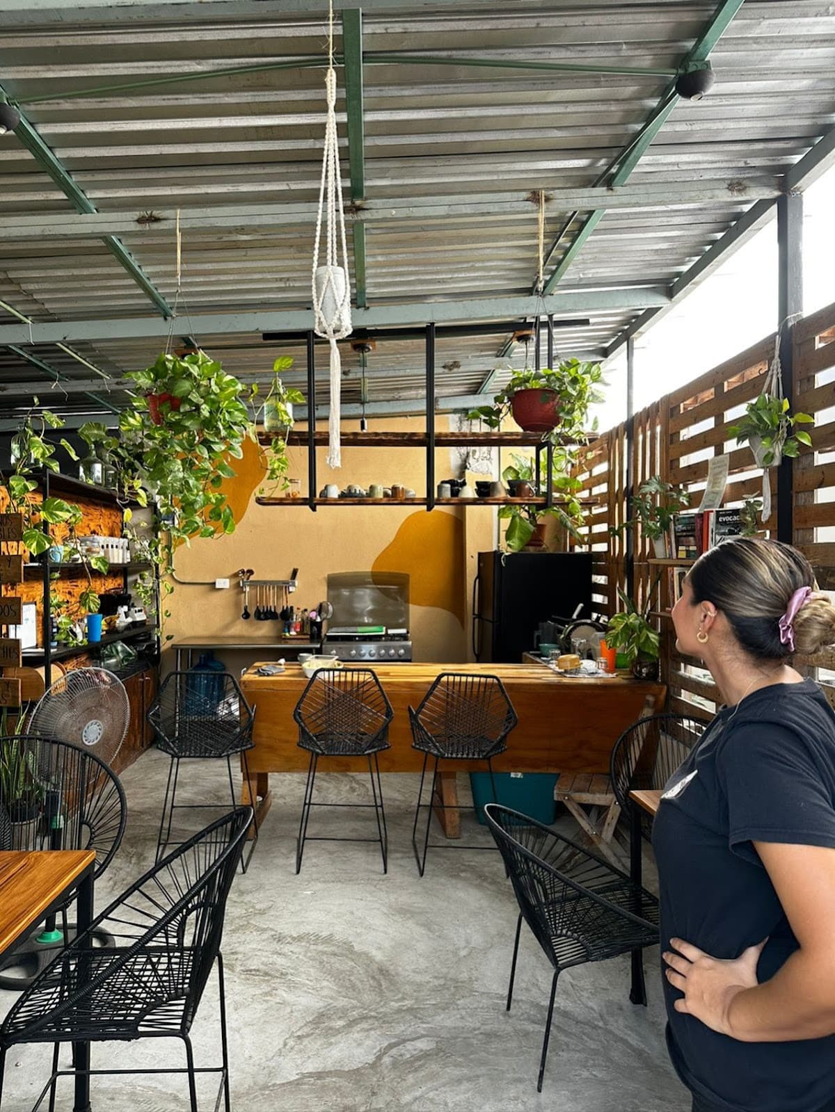 Café Sasta Ganadora
