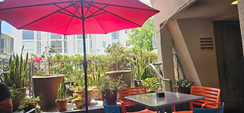 Seven Slow Days in Sunny San Diego