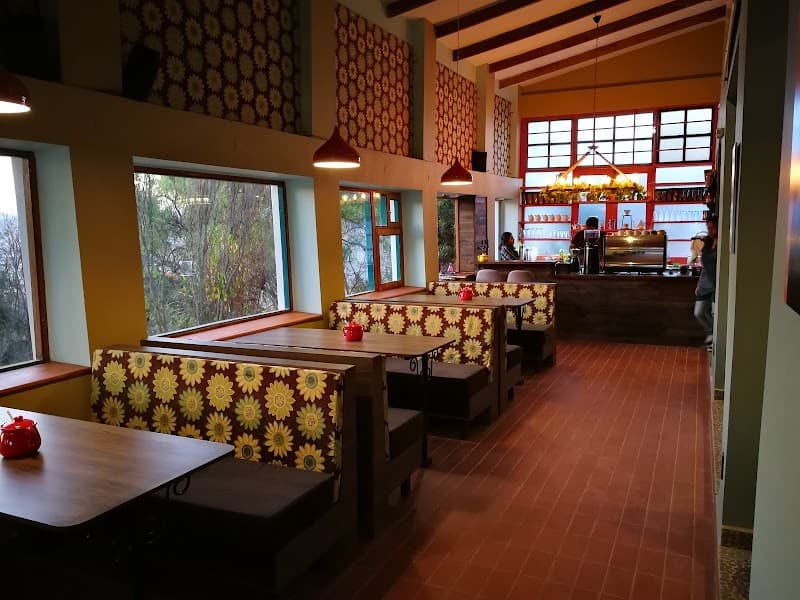 Sucre in Three Days: Jungle Wild in the White City