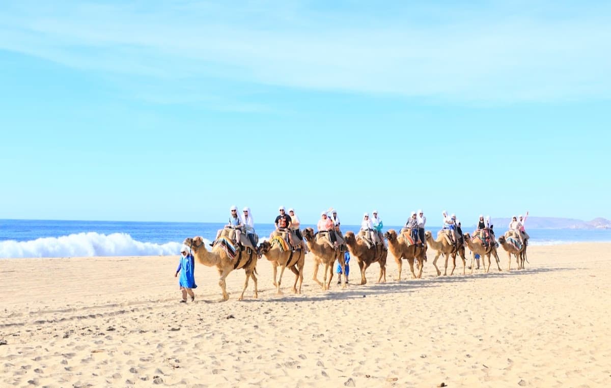 Camel Safari Beach Ride