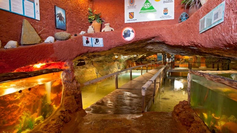 Cap Blanc Aquarium Visit