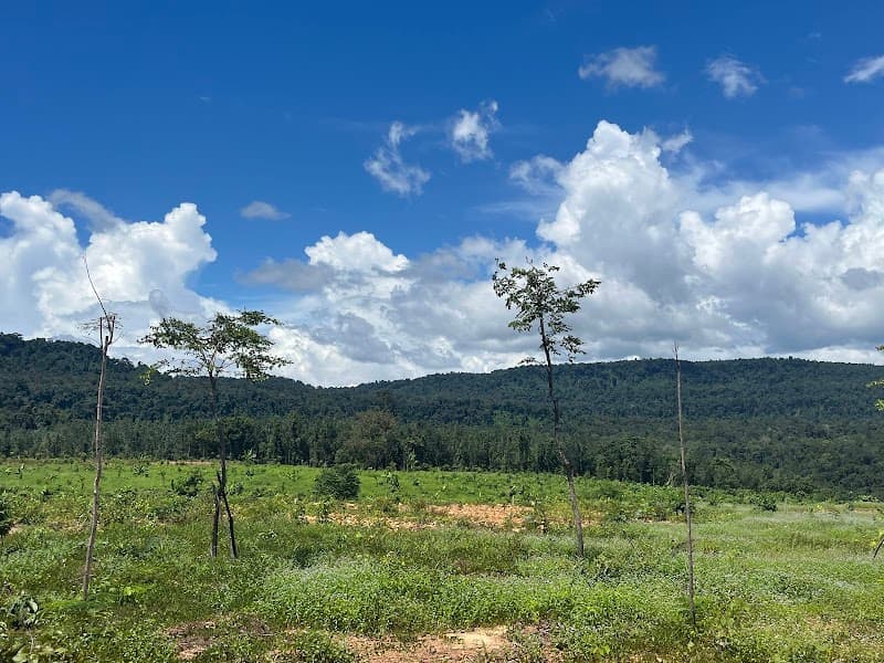Cardamom Mountains Day Hike (Community-Led)