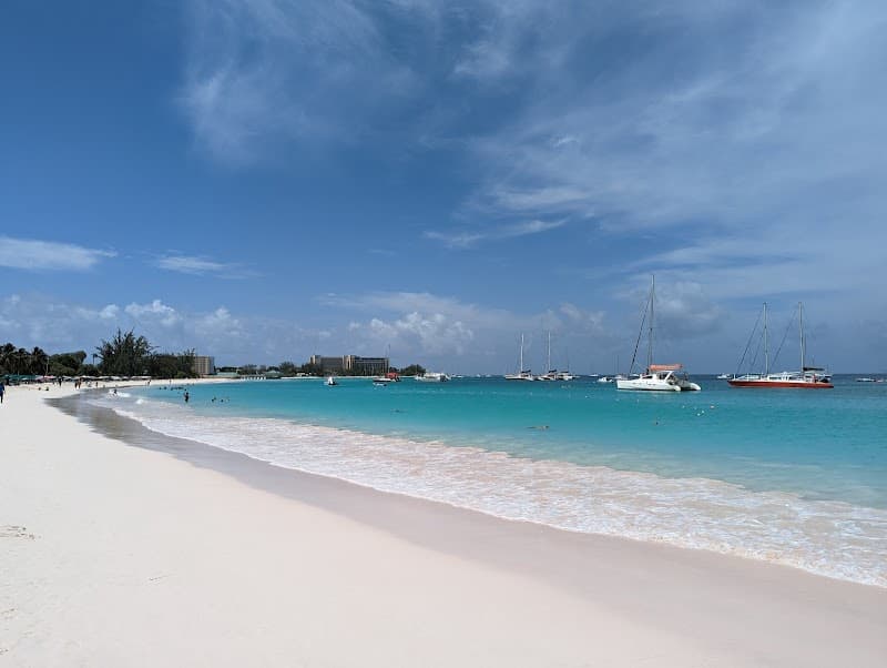 Carlisle Bay Shipwreck Snorkling (Optional)
