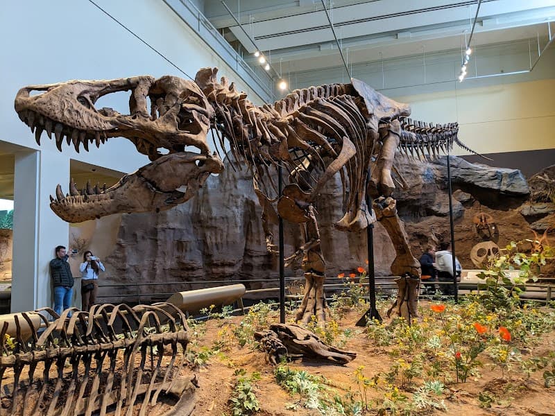 Carnegie Museum of Natural History & Art