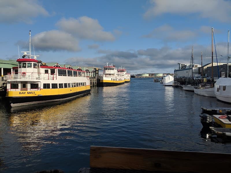 Casco Bay Lines Ferry – Short Scenic Ride