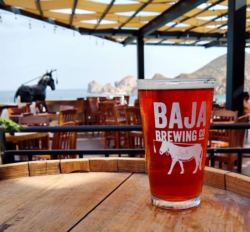 Casual Nightlife at Baja Brewing
