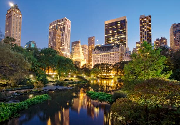 Central Park Exploration