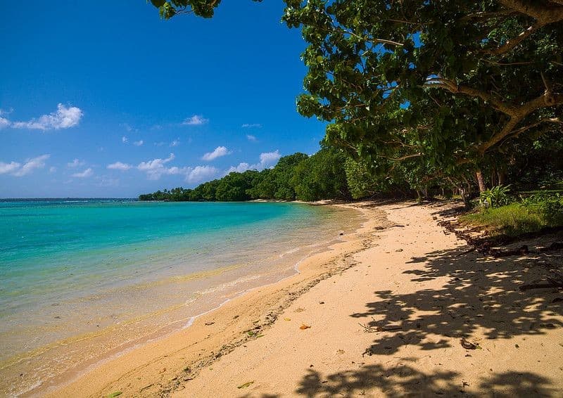 Champagne Beach Swim & Relax