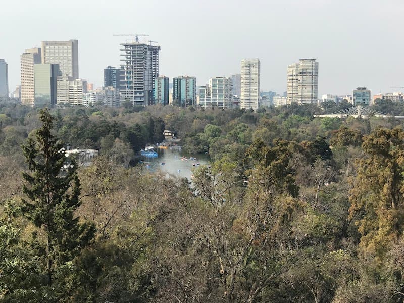 Chapultepec Park Hike & Lake