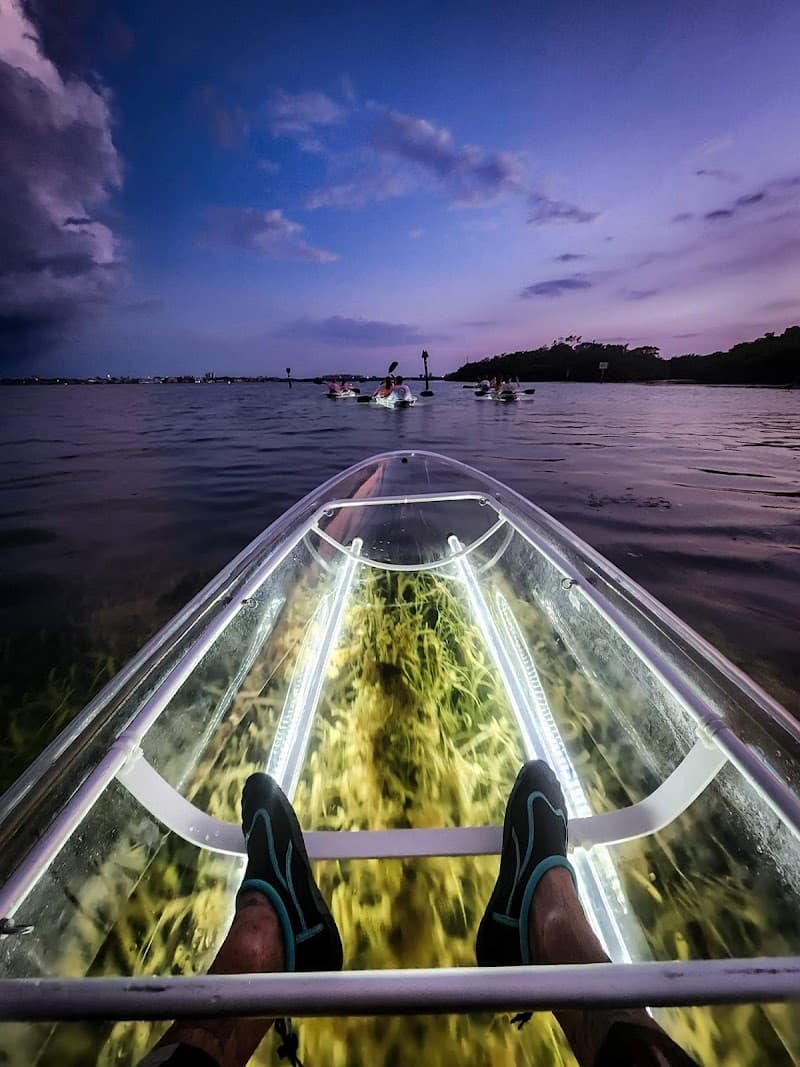 Clear Kayak Mangrove Tour