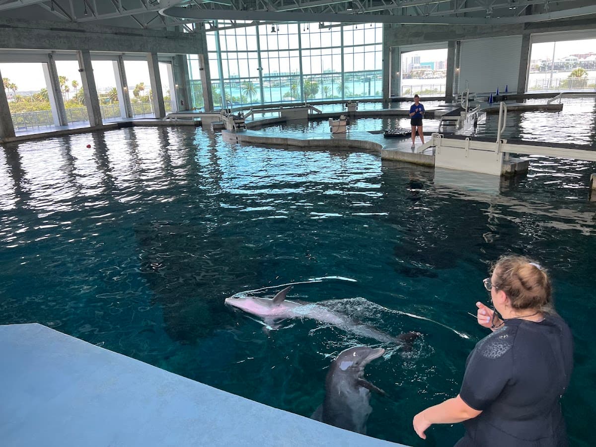 Clearwater Marine Aquarium (Wheelchair-Accessible)