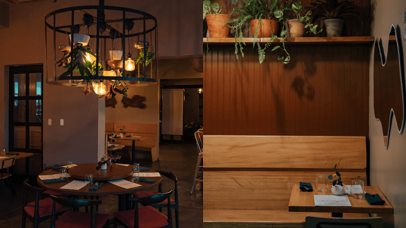 Puerto Rico Adventure Duo: Rainforest, Waves & Rhythms