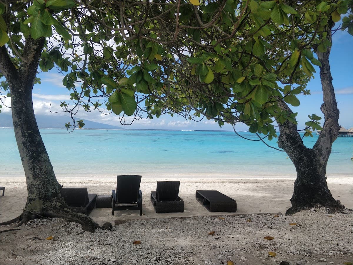 Coco's Beach Bar