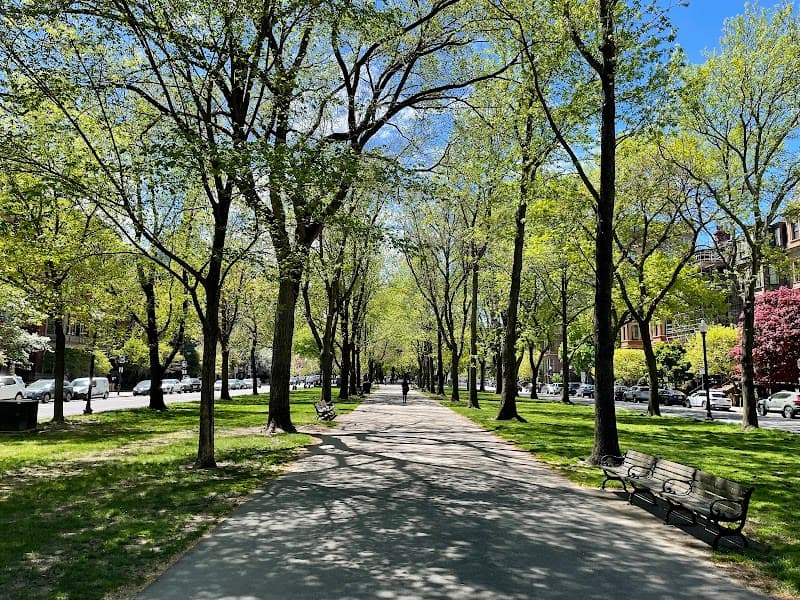 Commonwealth Avenue Mall & Charles River Esplanade (Boston Side)