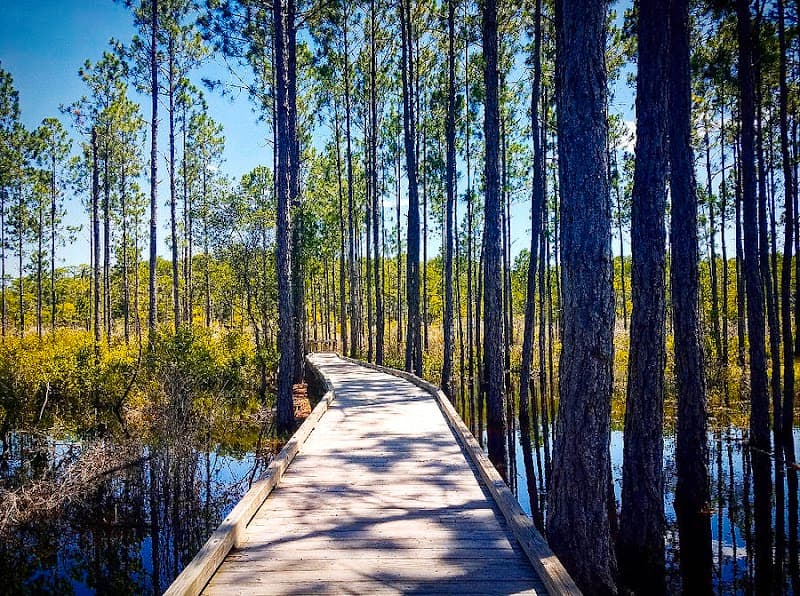 Conservation Park