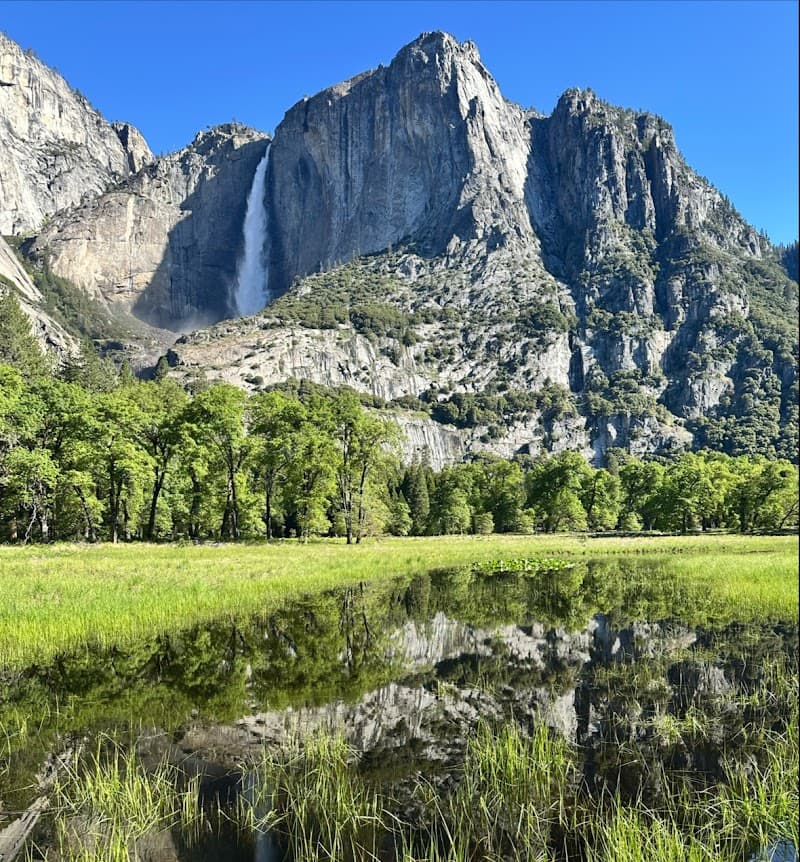 Cook’s Meadow Loop