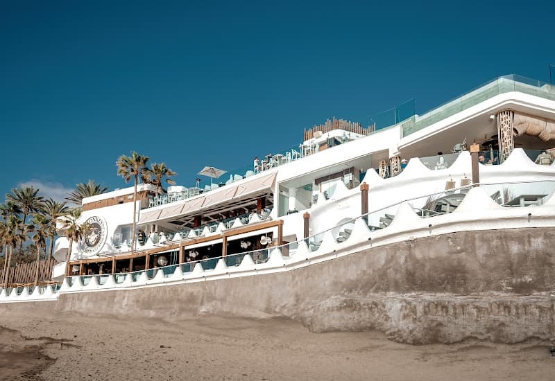 Costa Adeje Nightlife at Monkey Beach Club Area