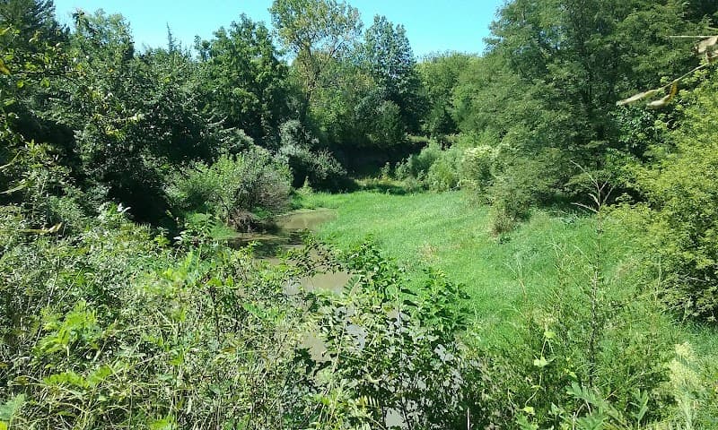 Creekside Picnic Spot in Wilderness Park