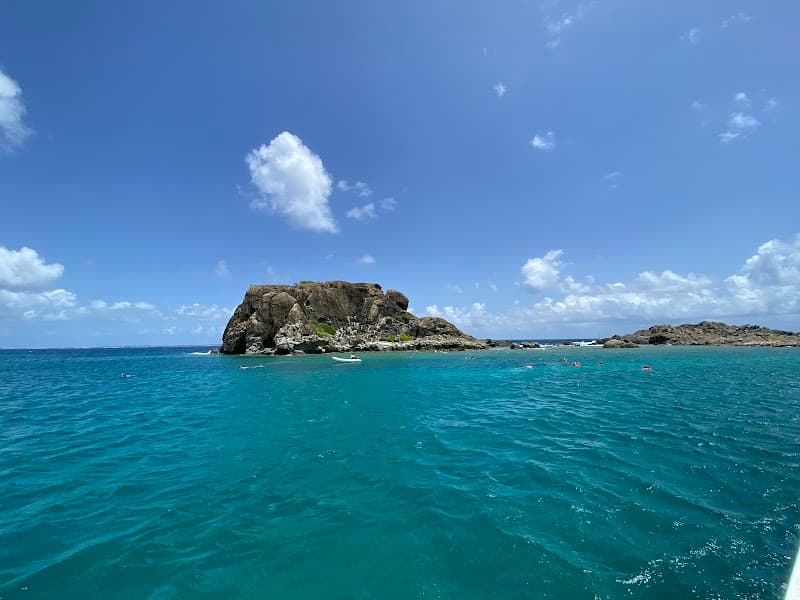 Creole Rock Snorkeling Trip