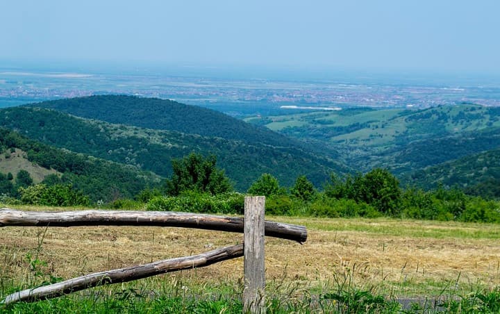 Day Trip: Fruška Gora National Park (Self-Guided or Tour)