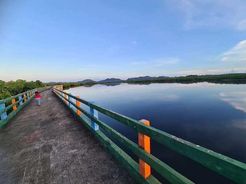 Del Carmen Mangrove Boardwalk (Quick Stop)