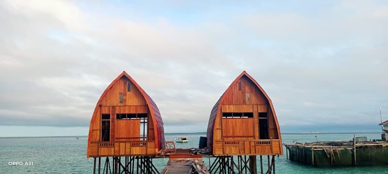 Wild Blue Derawan: Reefs, Rays & Jungle Shores