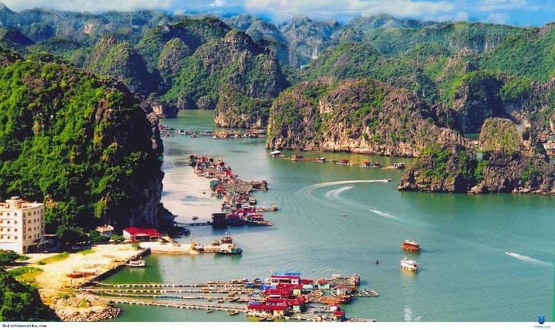 Disembarkation and Transfer to Cát Bà Island