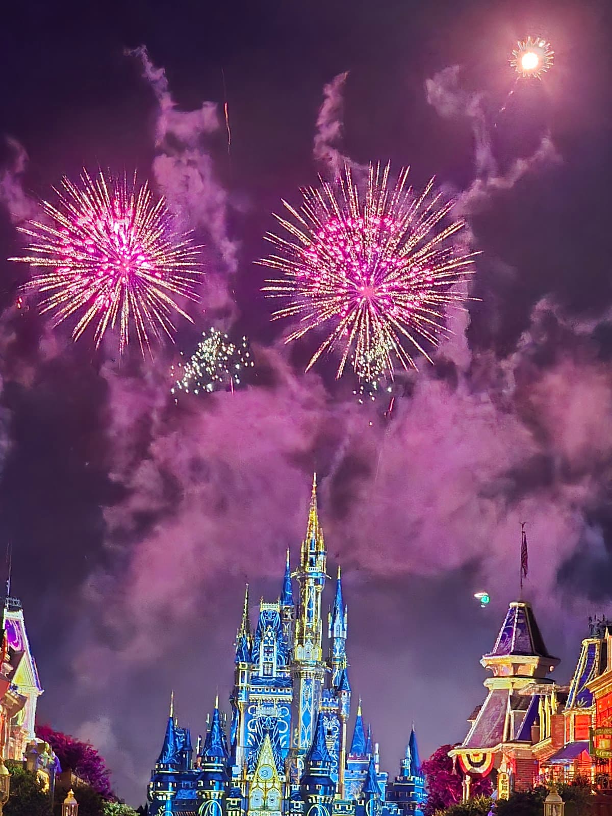 Disney's Magic Kingdom