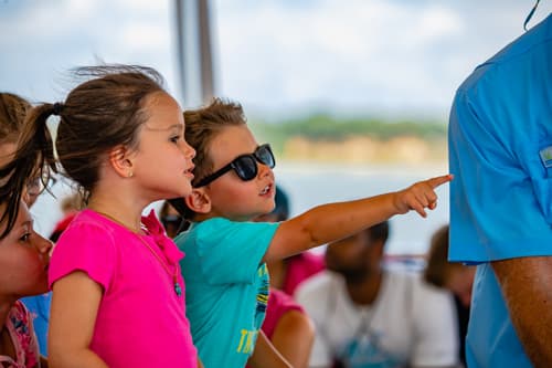 Dolphin Cruise