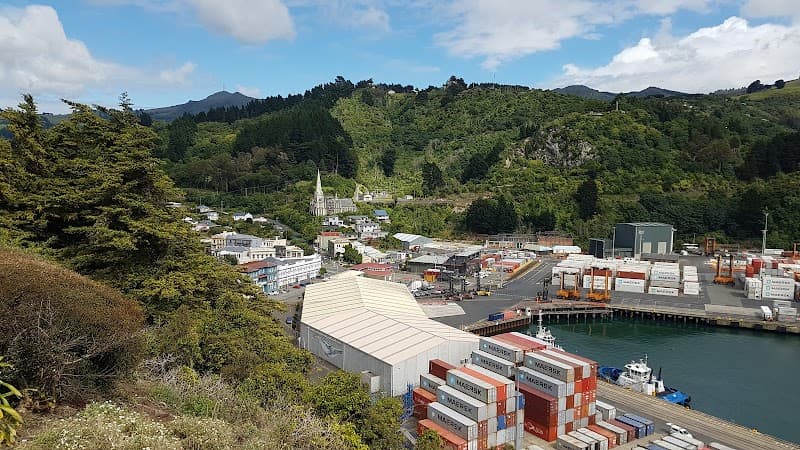 Coastal Calm & Wild Greens: A Dunedin Couples Escape