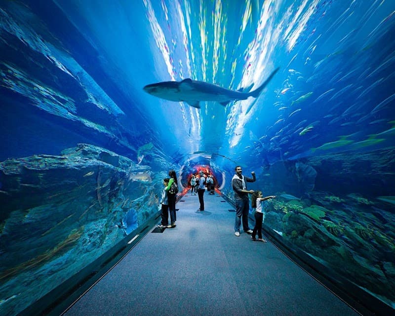 Dubai Mall Luxury Shopping & Dubai Aquarium Exterior Viewing