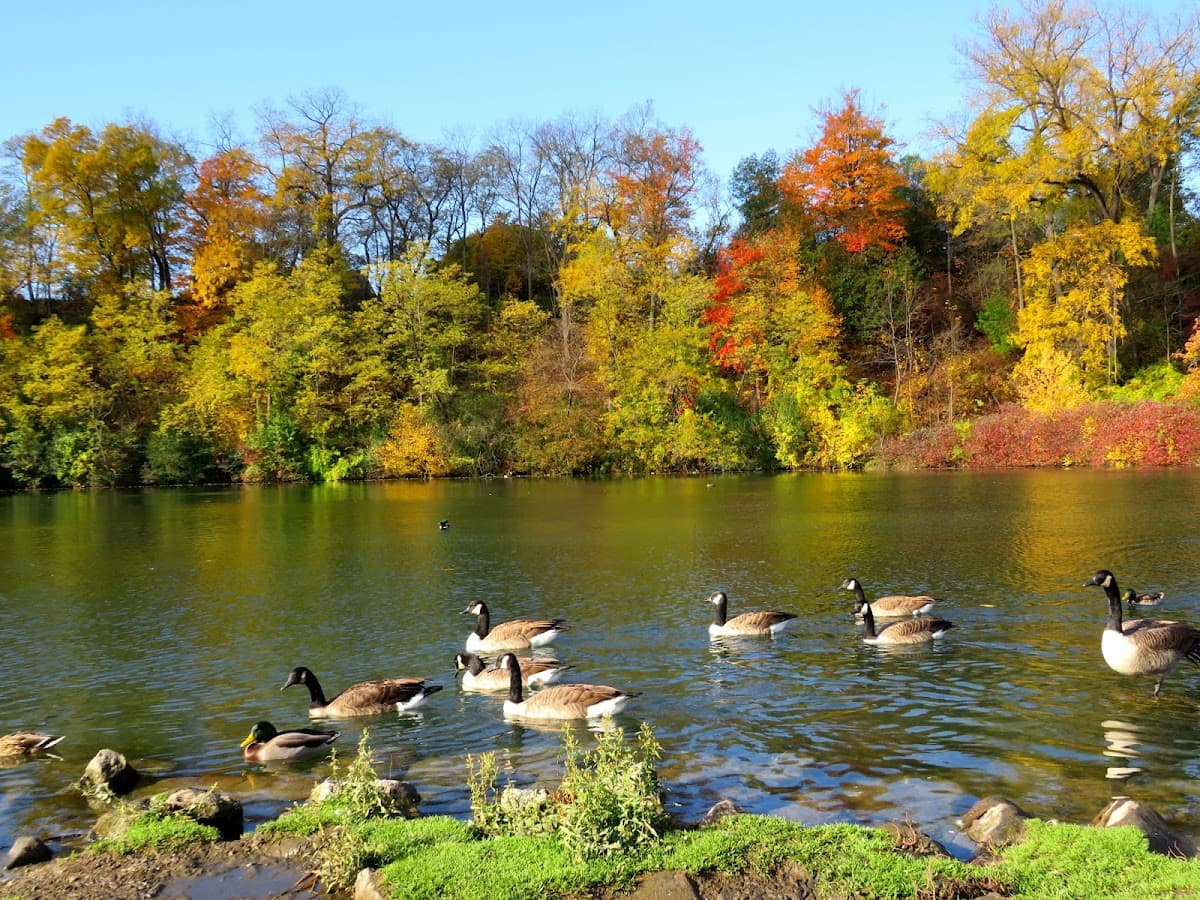 Dufferin Islands Beach & Park