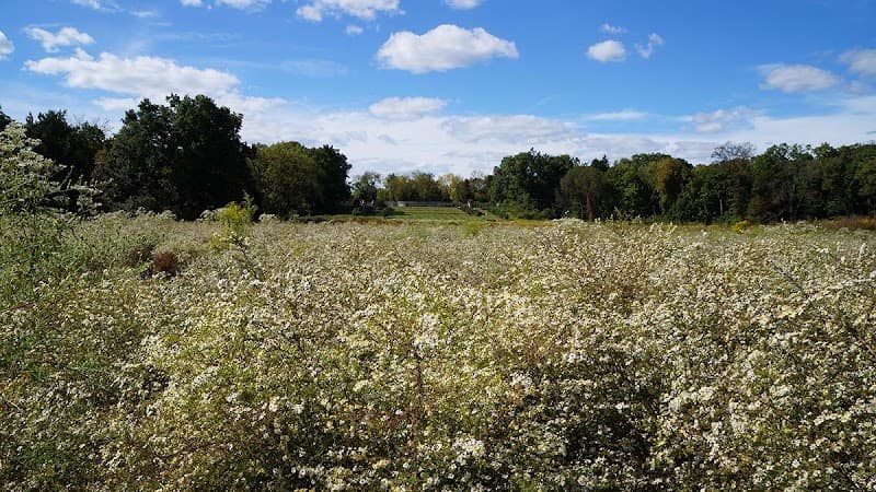 Gentle Adventures in Bridgewater’s Green & Historic Heart