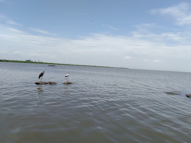 Dunga Boardwalk and Wetland Walk