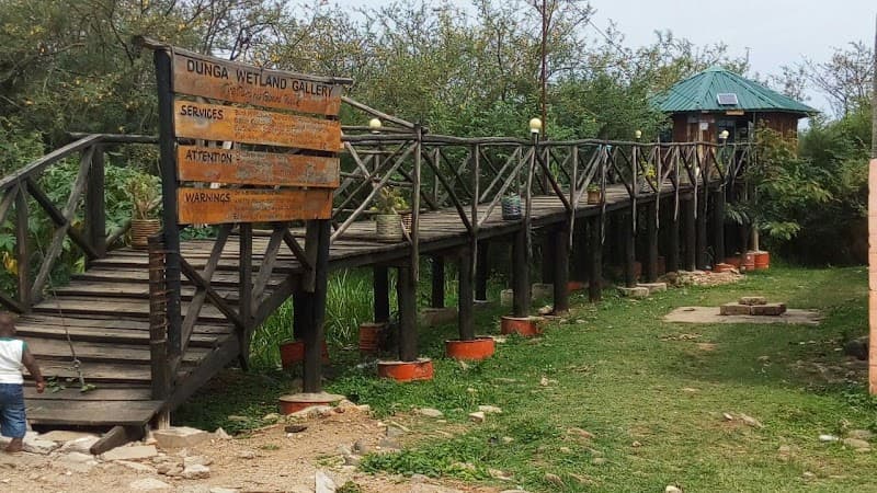 Dunga Wetland Boardwalk Area