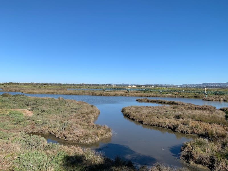 Easy Hike / Walk in Ria Formosa Trails (Near Faro)