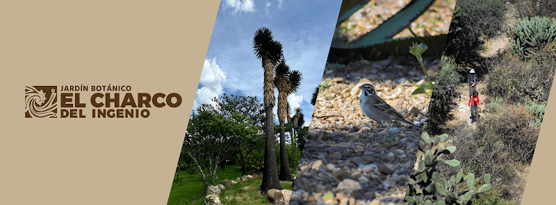 El Charco del Ingenio Botanical Garden