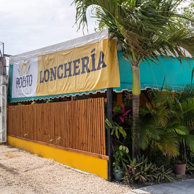 Cancún Weekend: Reef, Flavors, Beach Time, and Night Energy