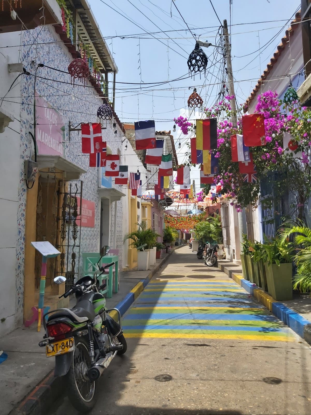 El Vegetariano de Getsemaní