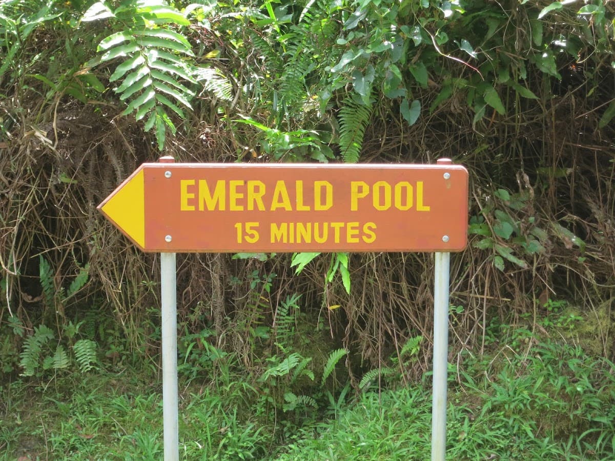 Emerald Pool Waterfall Hike