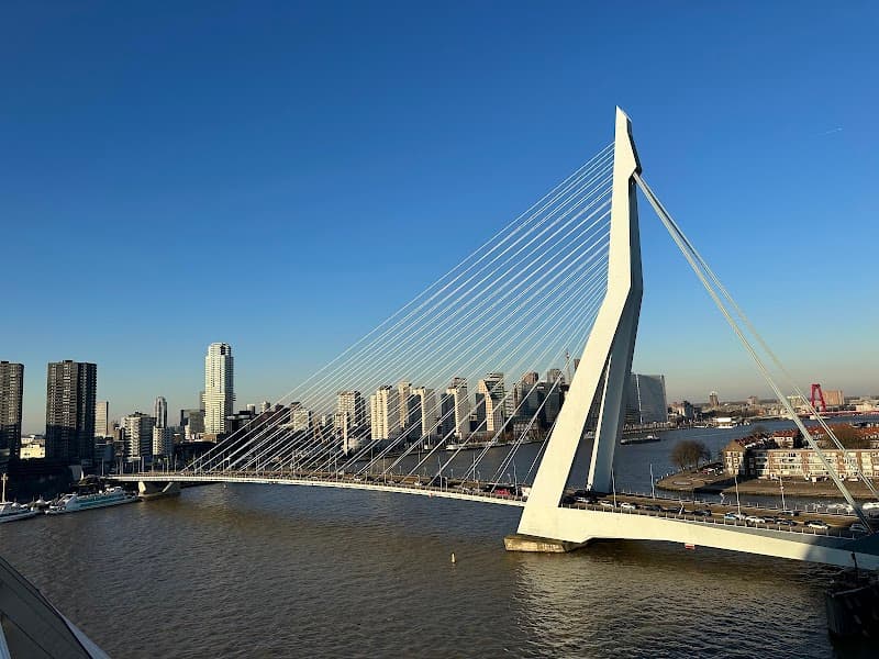 Erasmus Bridge Walk
