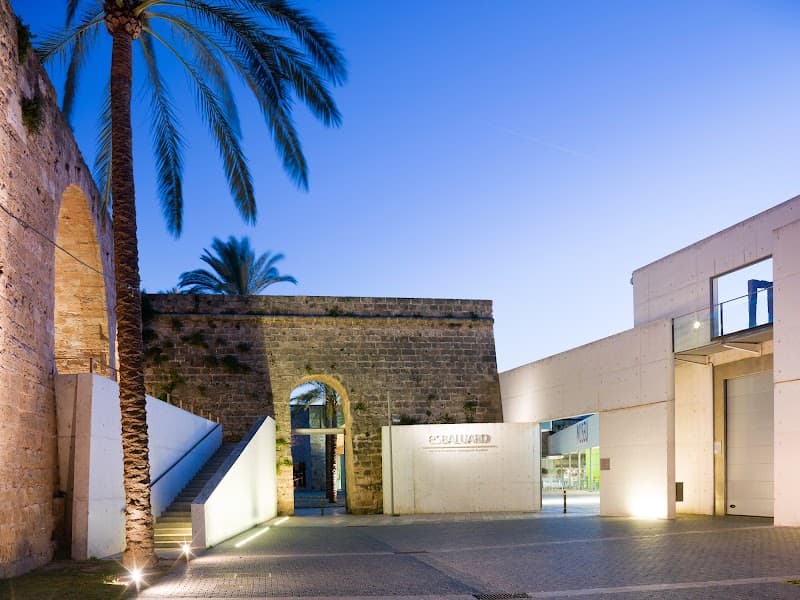 Es Baluard Museu d’Art Contemporani de Palma