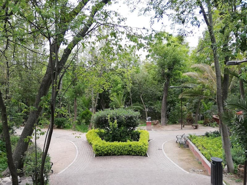 Evening Stroll in Parque Benito Juárez