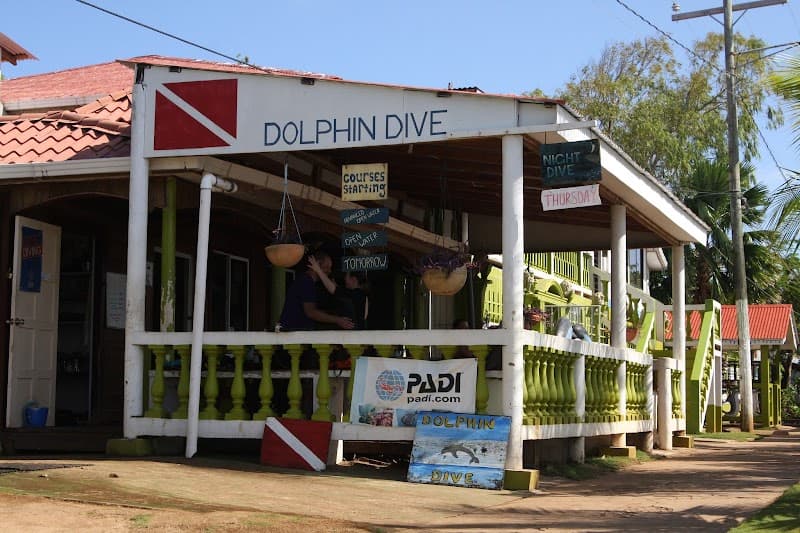 Family Snorkel Trip with Dolphin Dive Center