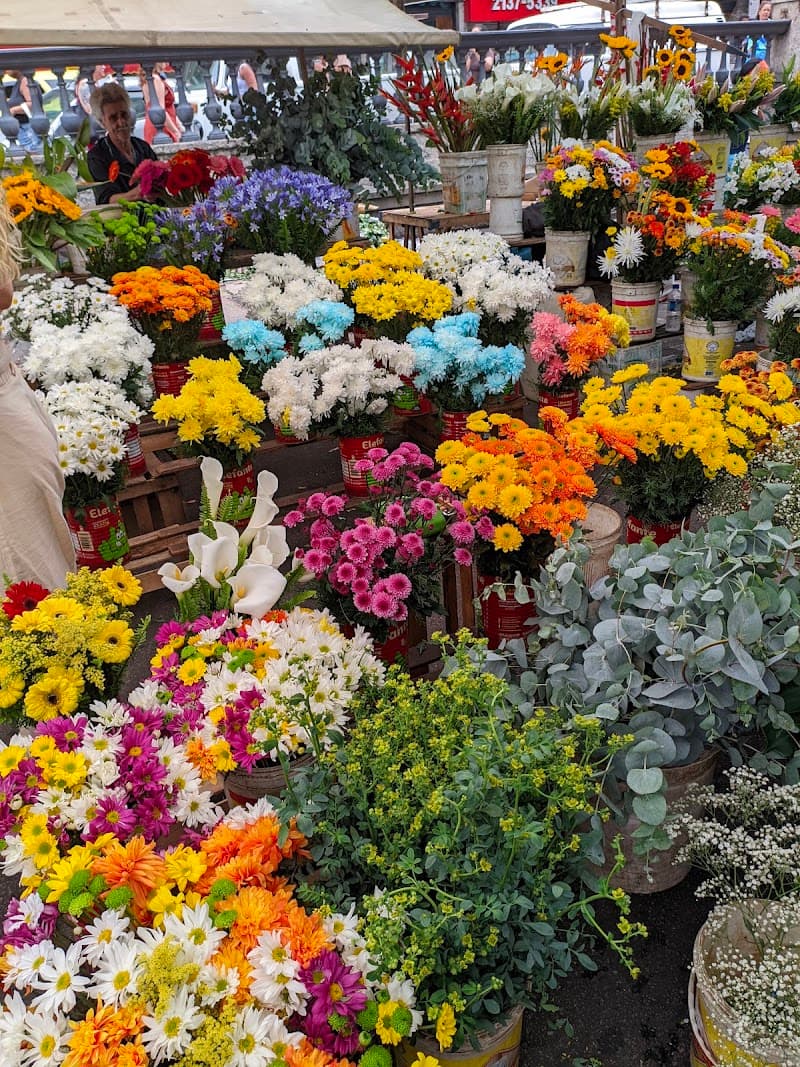 Rio on a Real Budget: Free Views, Street Food & Beach Vibes