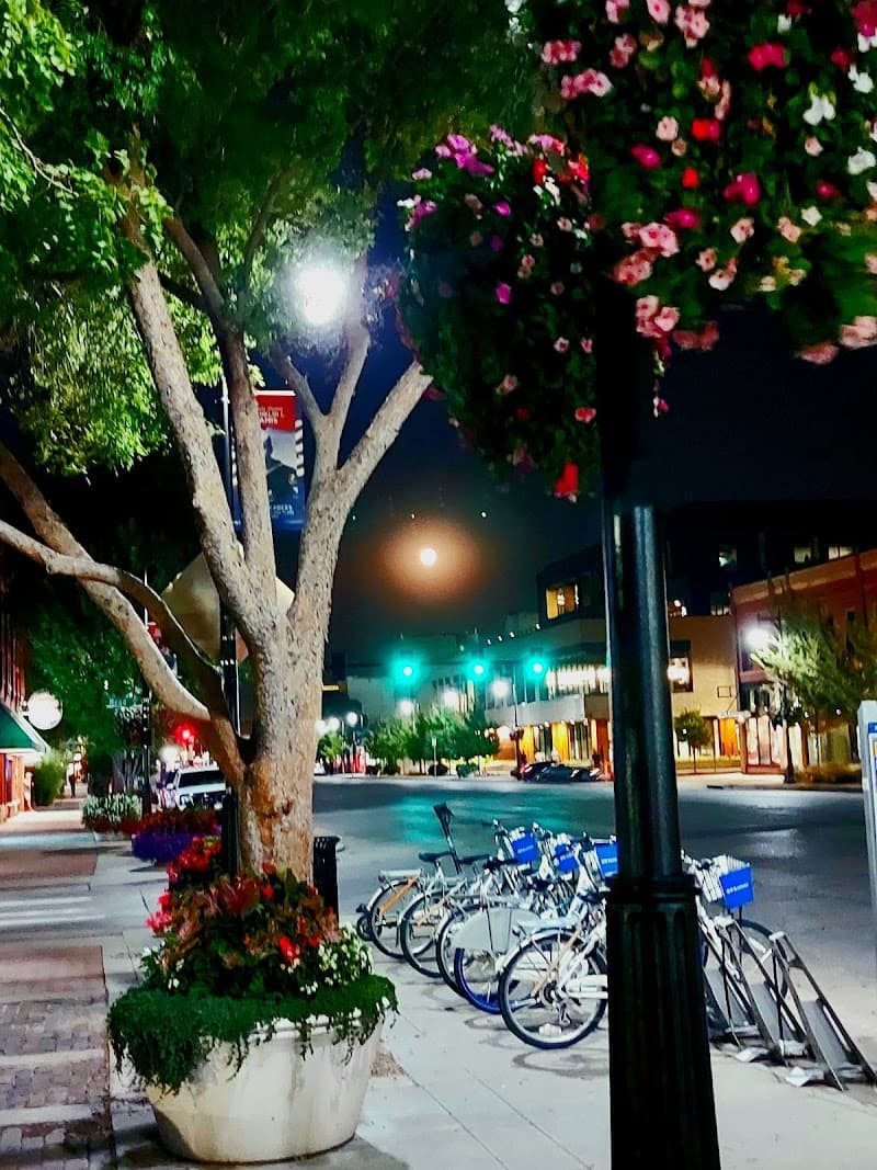 Final Evening in Old Town (Free Explore)