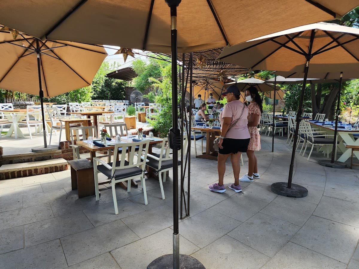 San José del Cabo: Hidden Flavors & Desert Discovery