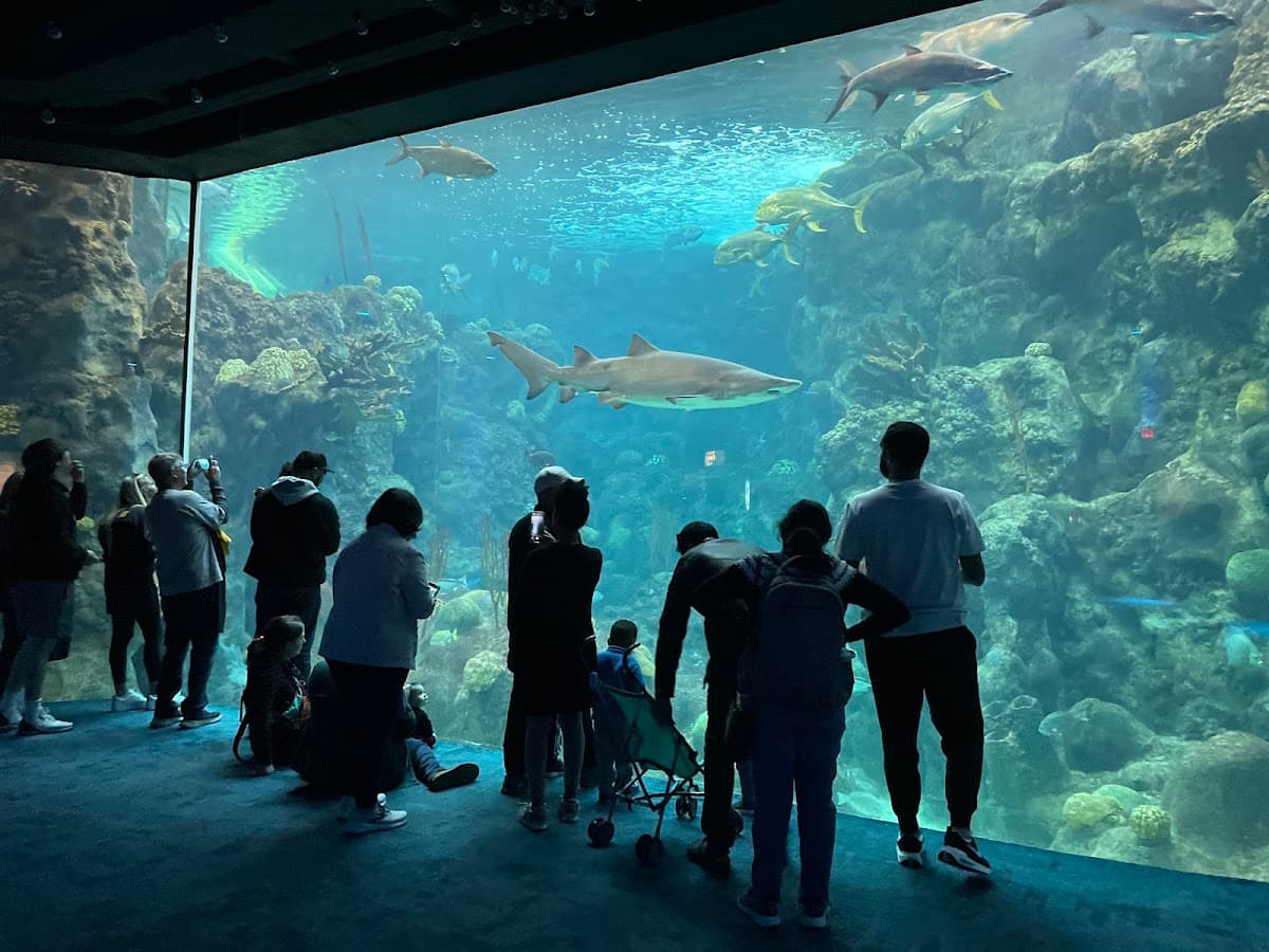 Florida Aquarium