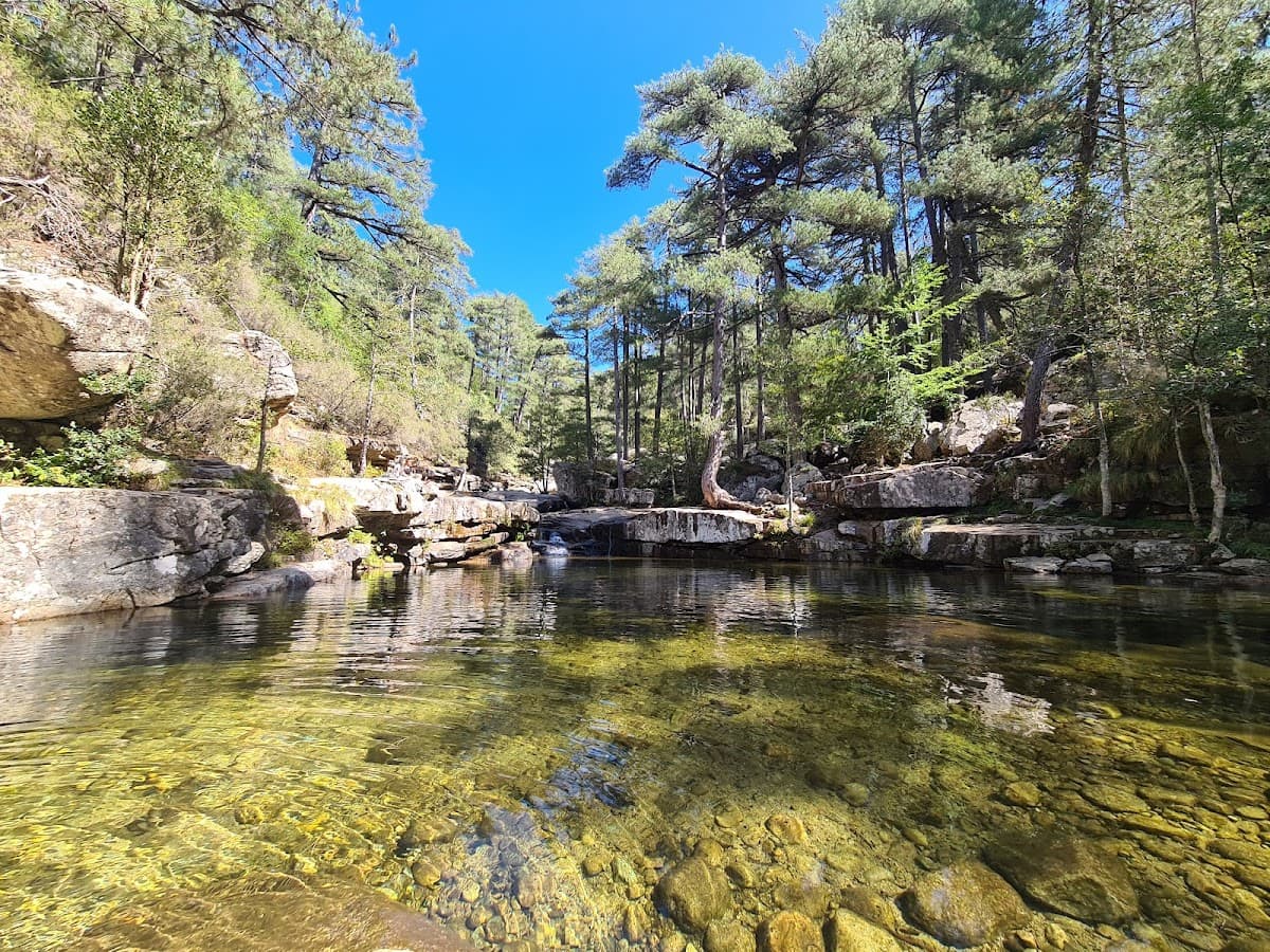 Forêt d’Aïtone