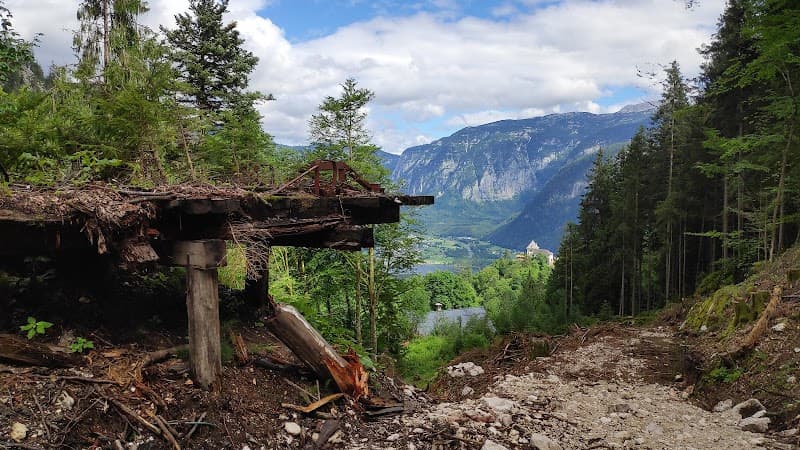 Forest Path Around Hallstatt Salzberg